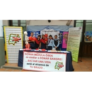 Escuela en Feria  